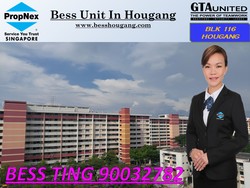 Blk 116 Hougang Avenue 1 (Hougang), HDB 3 Rooms #158342432